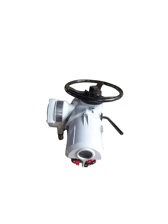 电动执行器 电动执行器